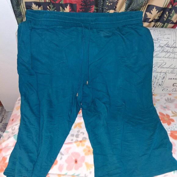 blueish greenish capris for plus sized queen - Picture 1 of 2